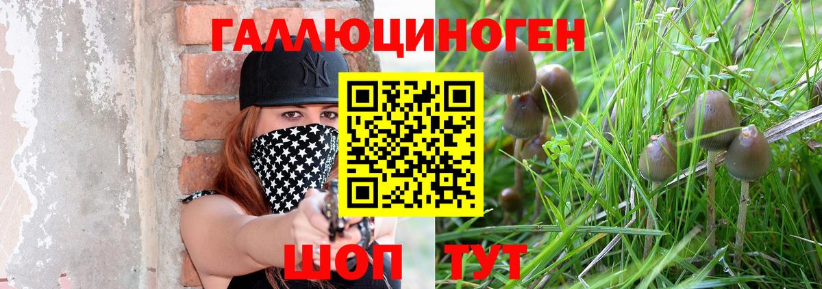 Псилоцибиновые грибы прущие грибы Каменск-Шахтинский
