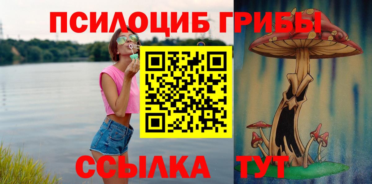 Каменск-Шахтинский  Псилоцибиновые грибы прущие грибы  Вход с VPN 